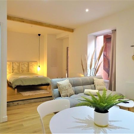 Sublime Cocon Pour 2 Aux Portes De La Place Nationale - Proximite Immediate Toutes Commodites Et Sites D'Interets Apartment Montauban Ngoại thất bức ảnh